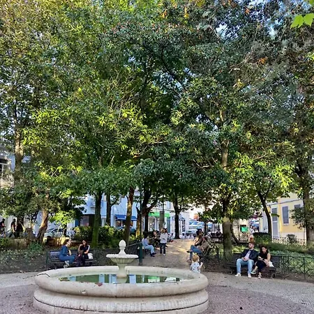 Apartmán Praca Flores *